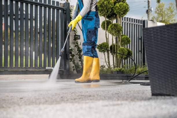 Best Spring Cleaning  in Cedar Grove, WI